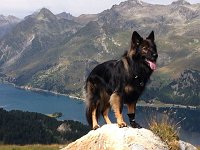 Ki-Shani